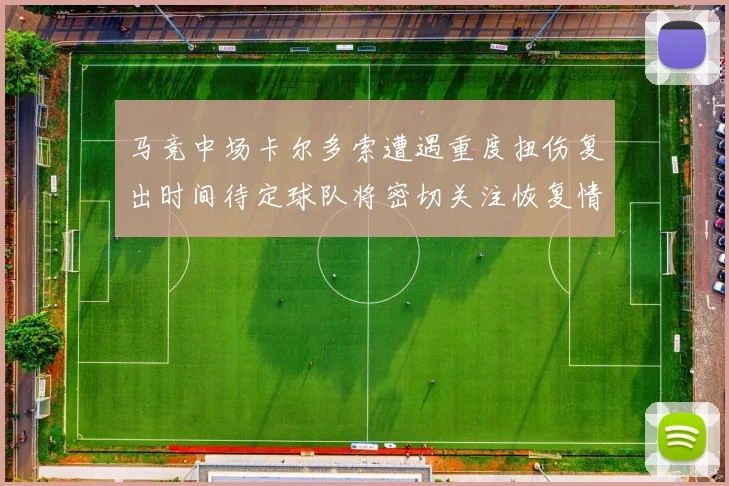 马竞中场卡尔多索遭遇重度扭伤复出时间待定球队将密切关注恢复情况